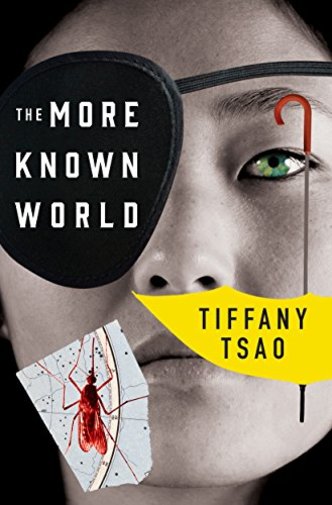 A book cover: an Asian woman wearing an eye patch, an upside down yellow umbrella and a large mosquito obscuring her face.